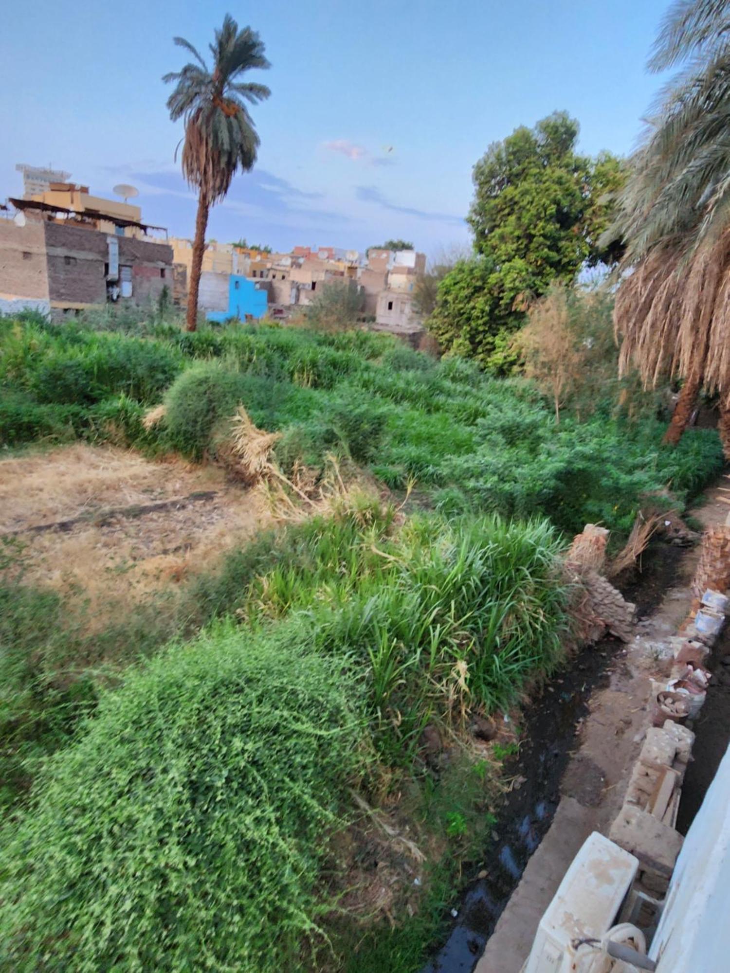 Dara Guest House Aswan Ngoại thất bức ảnh